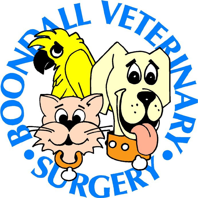 Boondall Veterinary Surgery