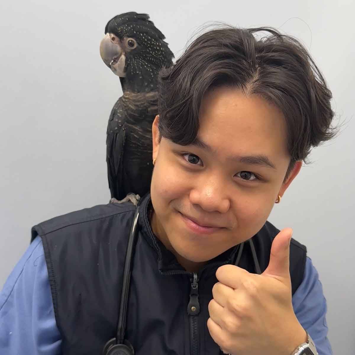 Boondall Veterinary Surgery - Meet the Team - Dr Darryl Bates
