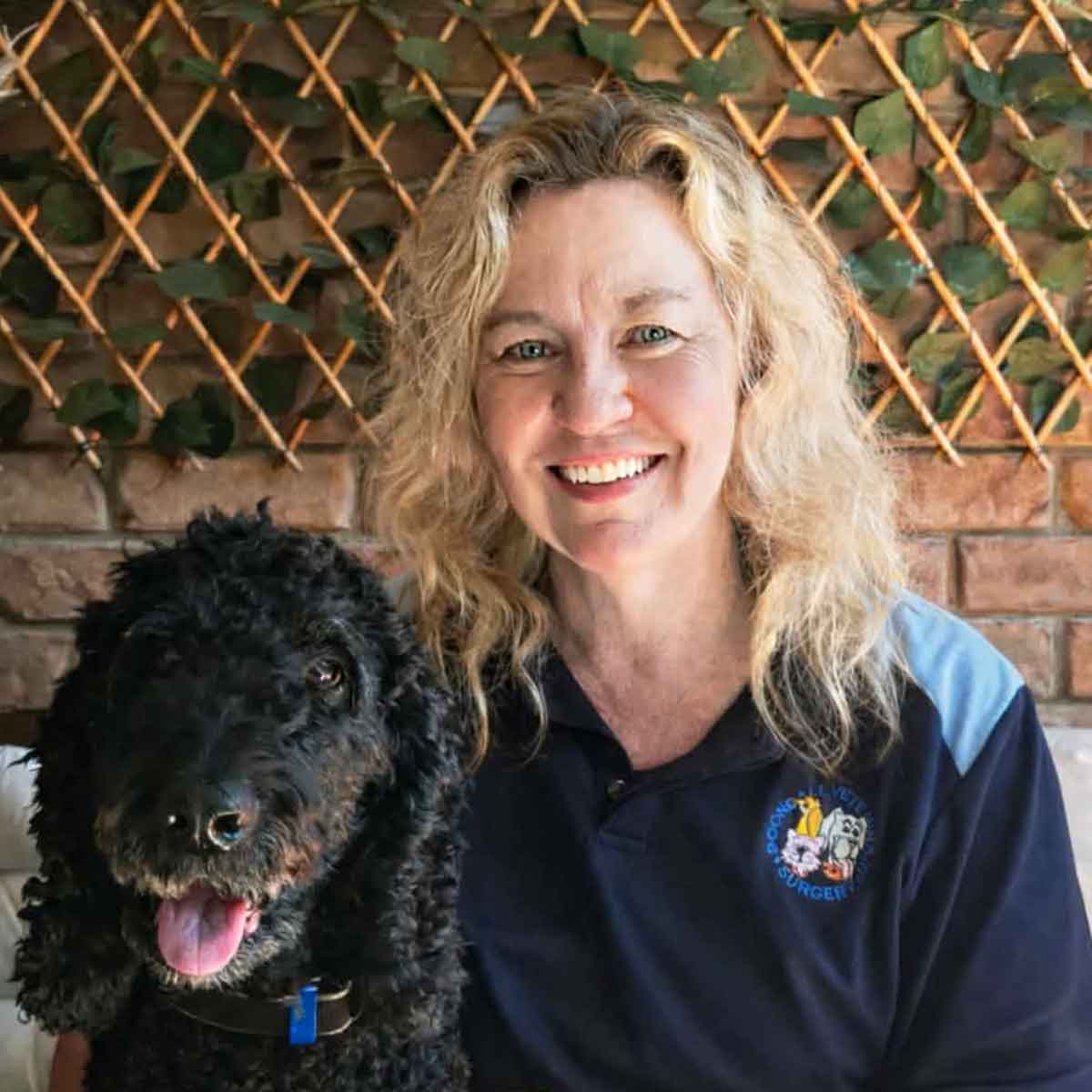 Meet the Boondall Vet Team - Dylan Salter